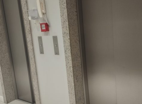 IMG_20231113_185313